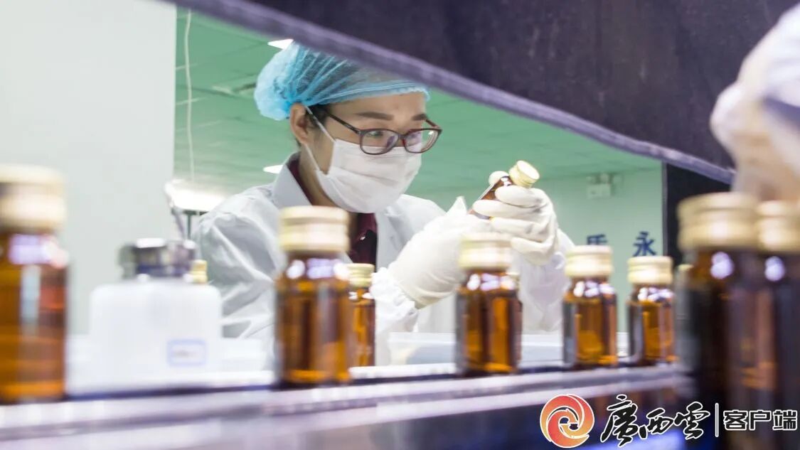 廣西日報聚焦天緣綠：從產(chǎn)品創(chuàng)新到行業(yè)標準，引領芭蕉健康產(chǎn)業(yè)升級
